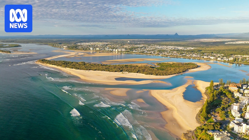 Scramble to protect island bee colony from parasitic killer