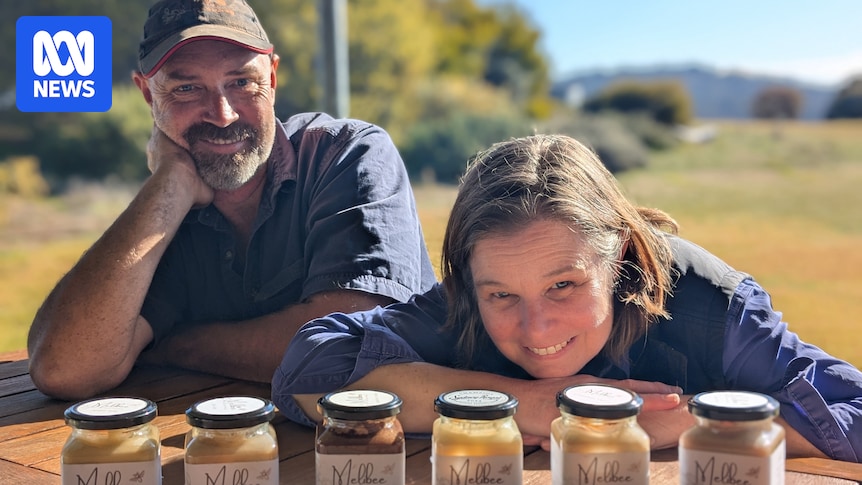 Creamed honey 'going crazy' as beekeepers diversify amid varroa threat