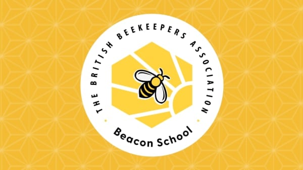 Bees in Schools