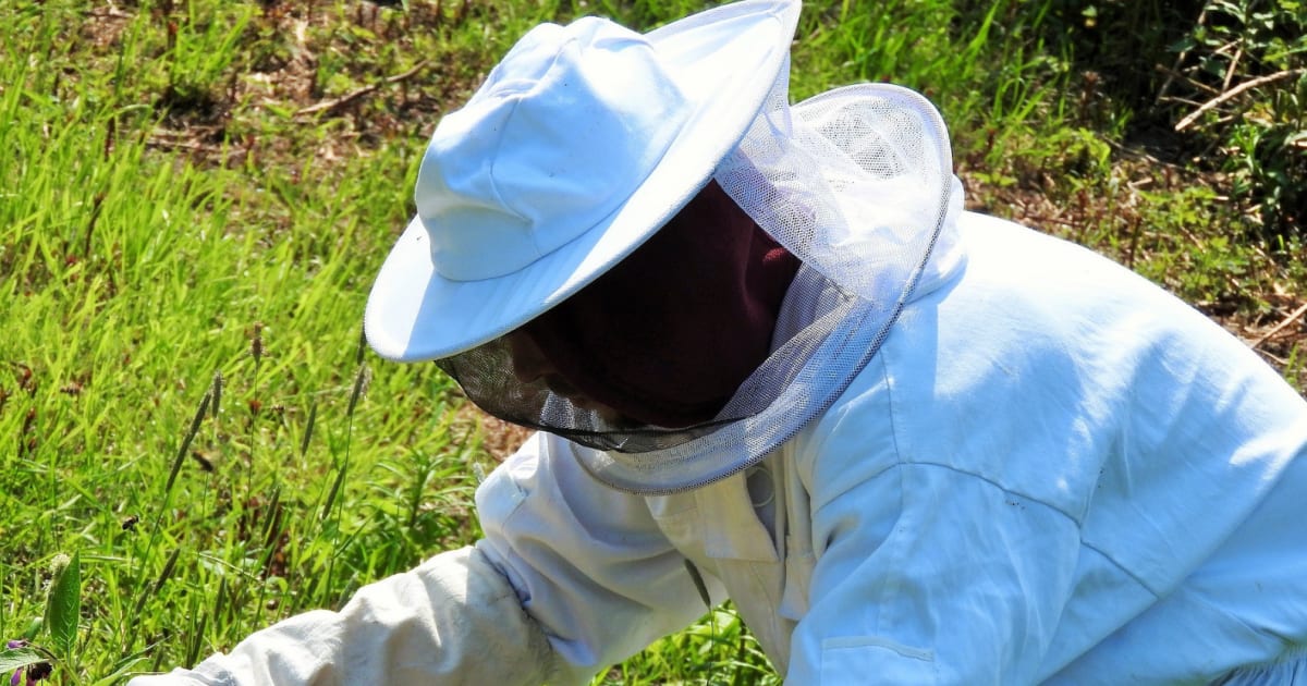 https://www.bbka.org.uk/how-do-i-become-a-beekeeper