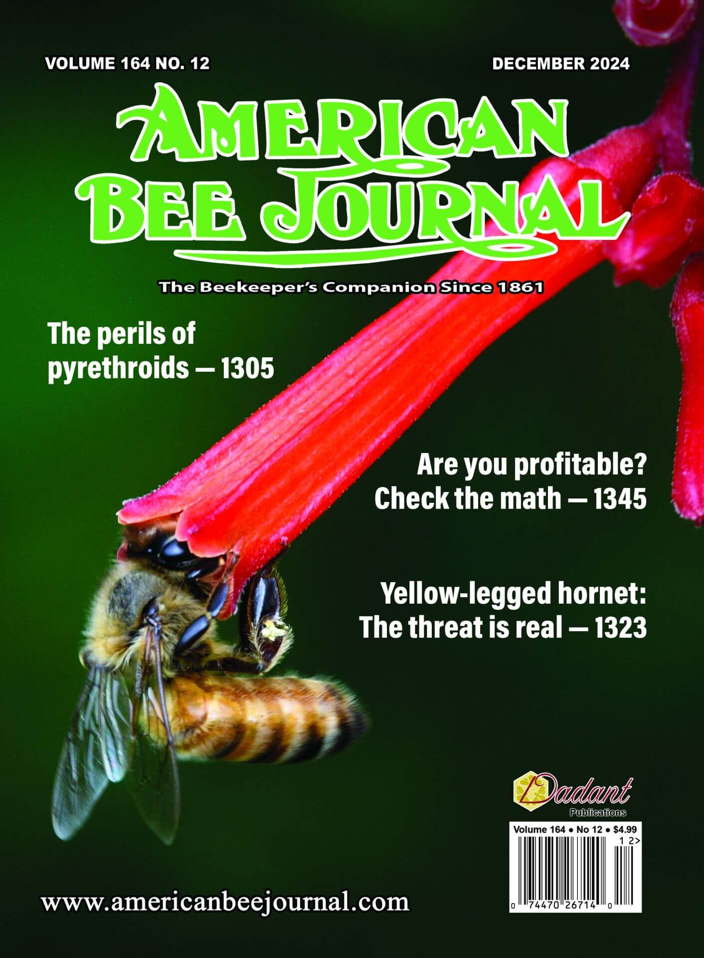 BEES ABROAD LAUNCHES IN THE USA