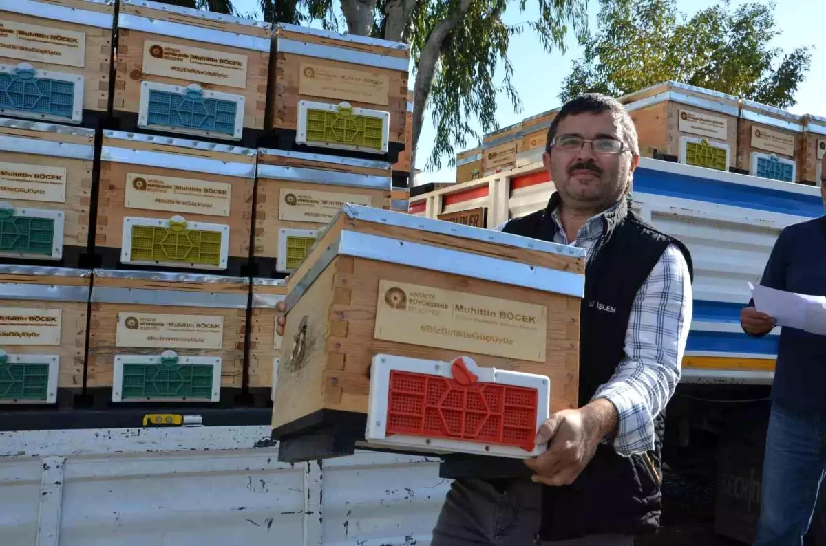 Antalya Büyükşehir Belediyesi Alanyalı Bal Üreticilerine Arı Kovanı Hibesi Verdi