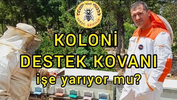 KOLONI DESTEK KOVANI_koloni_destek