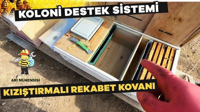 KOLONI DESTEK KOVANI_koloni_destek