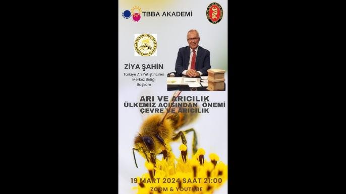 ARICI BIRLIKLERI_arici_birlikleri,